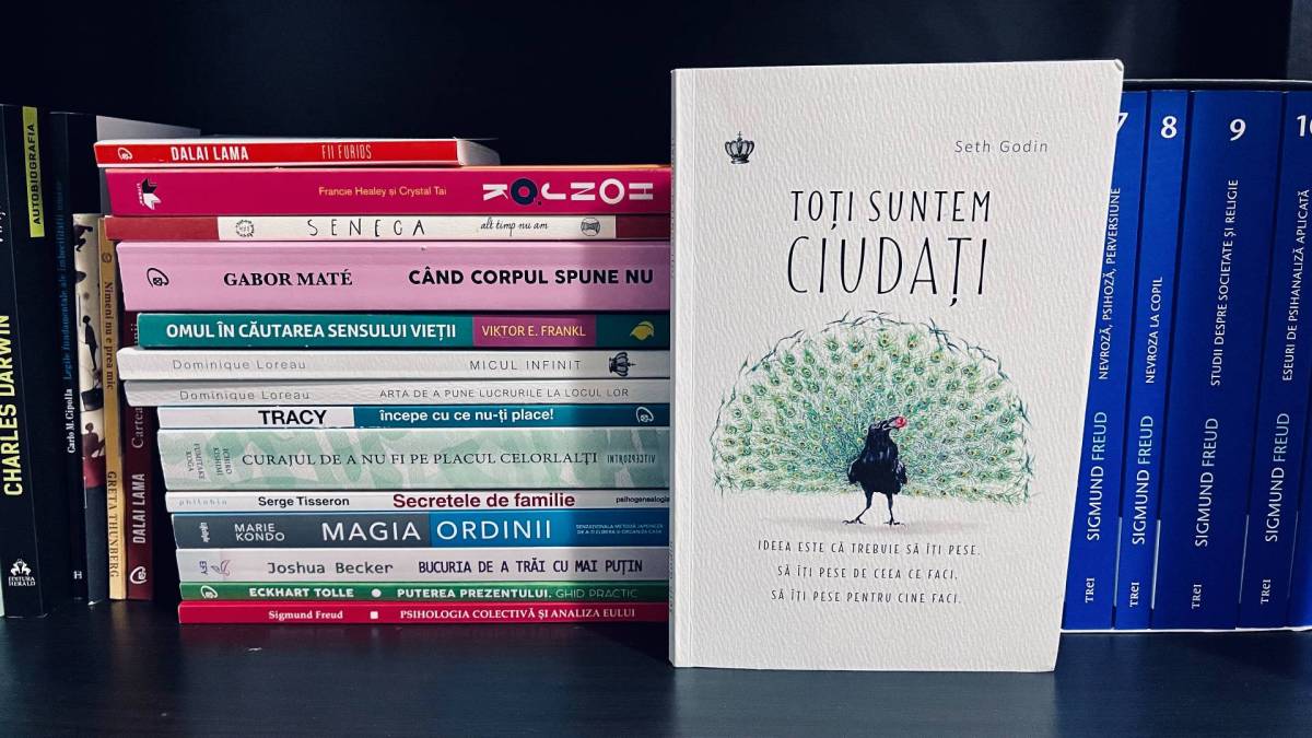 📚 O lume a ciudatilor, sau despre absurditatea unui produs cu care te stergi la fund | «Toti suntem ciudati» – Seth&nbsp;Godin