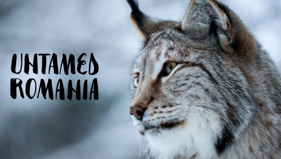 Documentare: Romania Neinblanzita