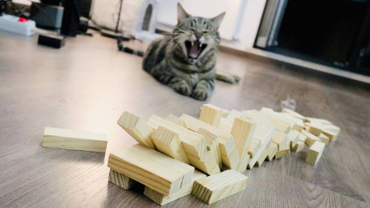 Al doilea weekeend si noi ordonante de urgenta si militare || autoizolare || ziua&nbsp;11